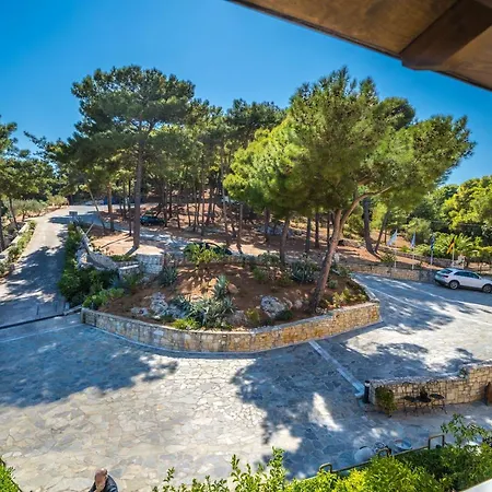 فندق Forest Park 4*